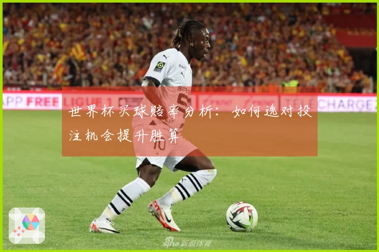 世界杯买球赔率分析：如何选对投注机会提升胜算