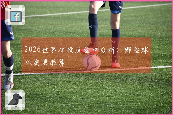 2026世界杯投注盘口分析：哪些球队更具胜算