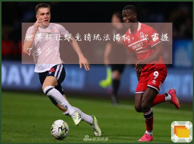 世界杯让球竞猜玩法揭秘,你掌握了多少?